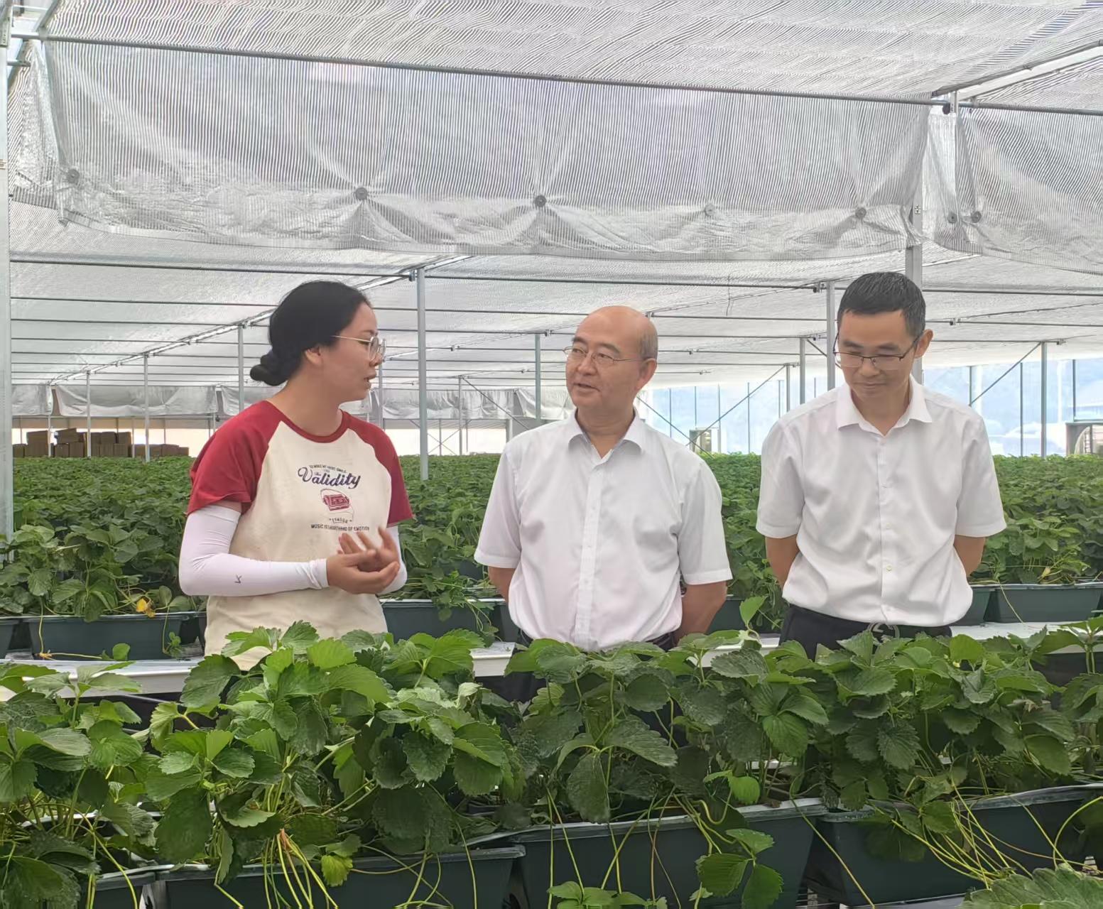 D:/省國資經營公司-workingfiles2022/5.會議&出差/2025年/（5月28日）舒總帶隊赴國康源調研/微信圖片_20250530112450.jpg微信圖片_20250530112450